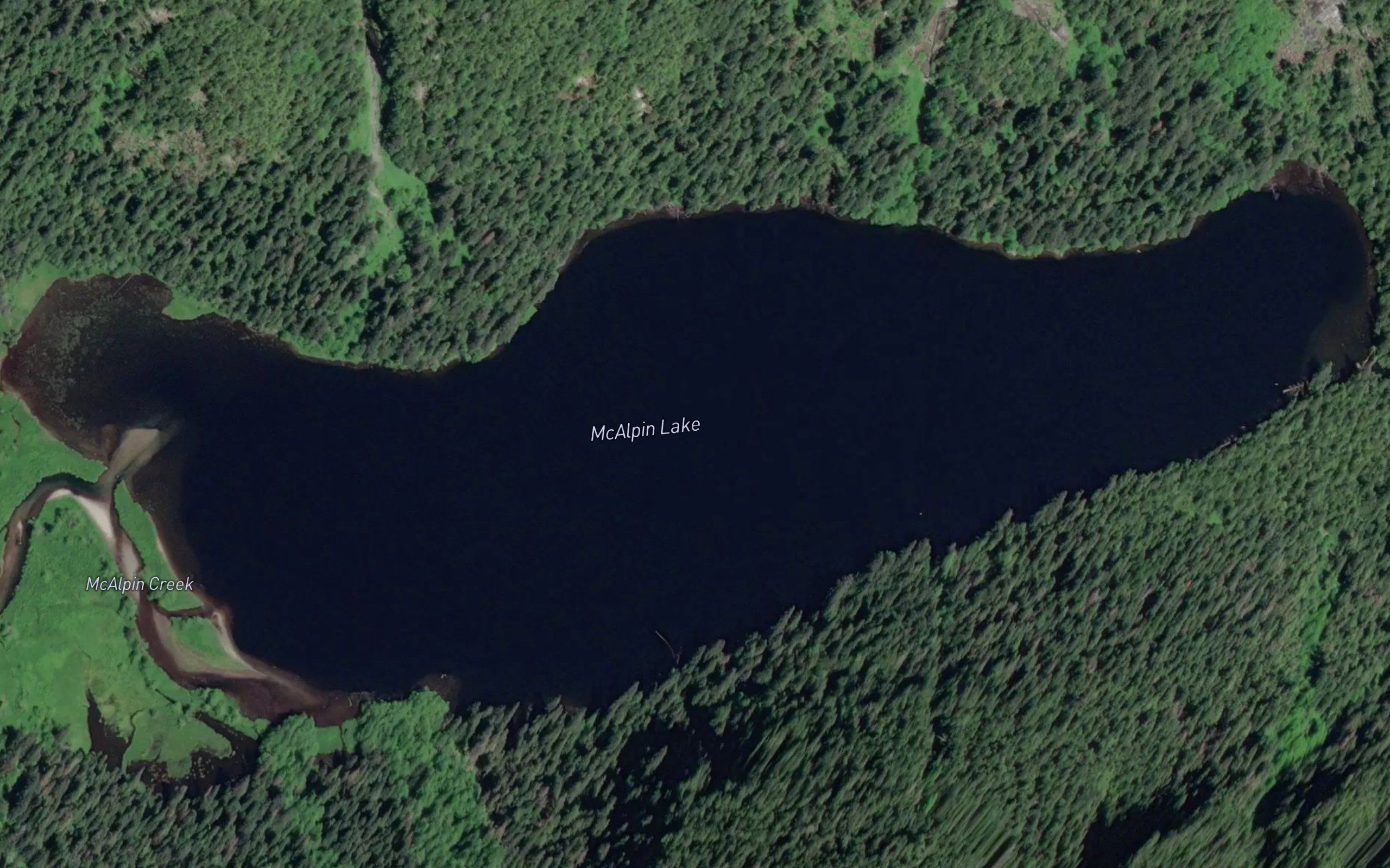 McAlpin Lake