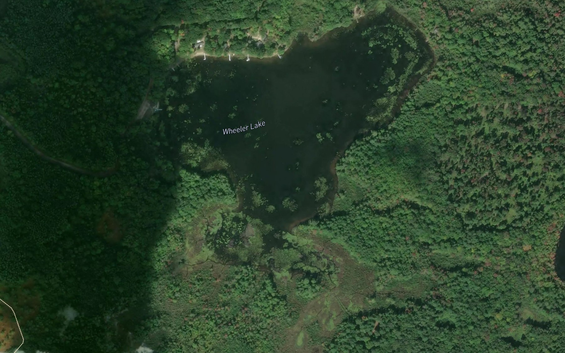 Satellite map of the Wheeler Lake