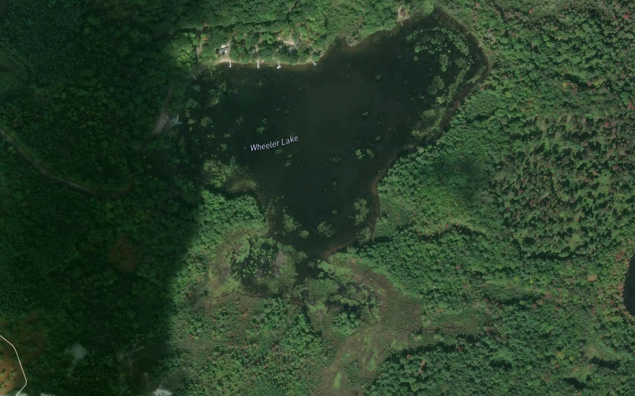 Wheeler Lake