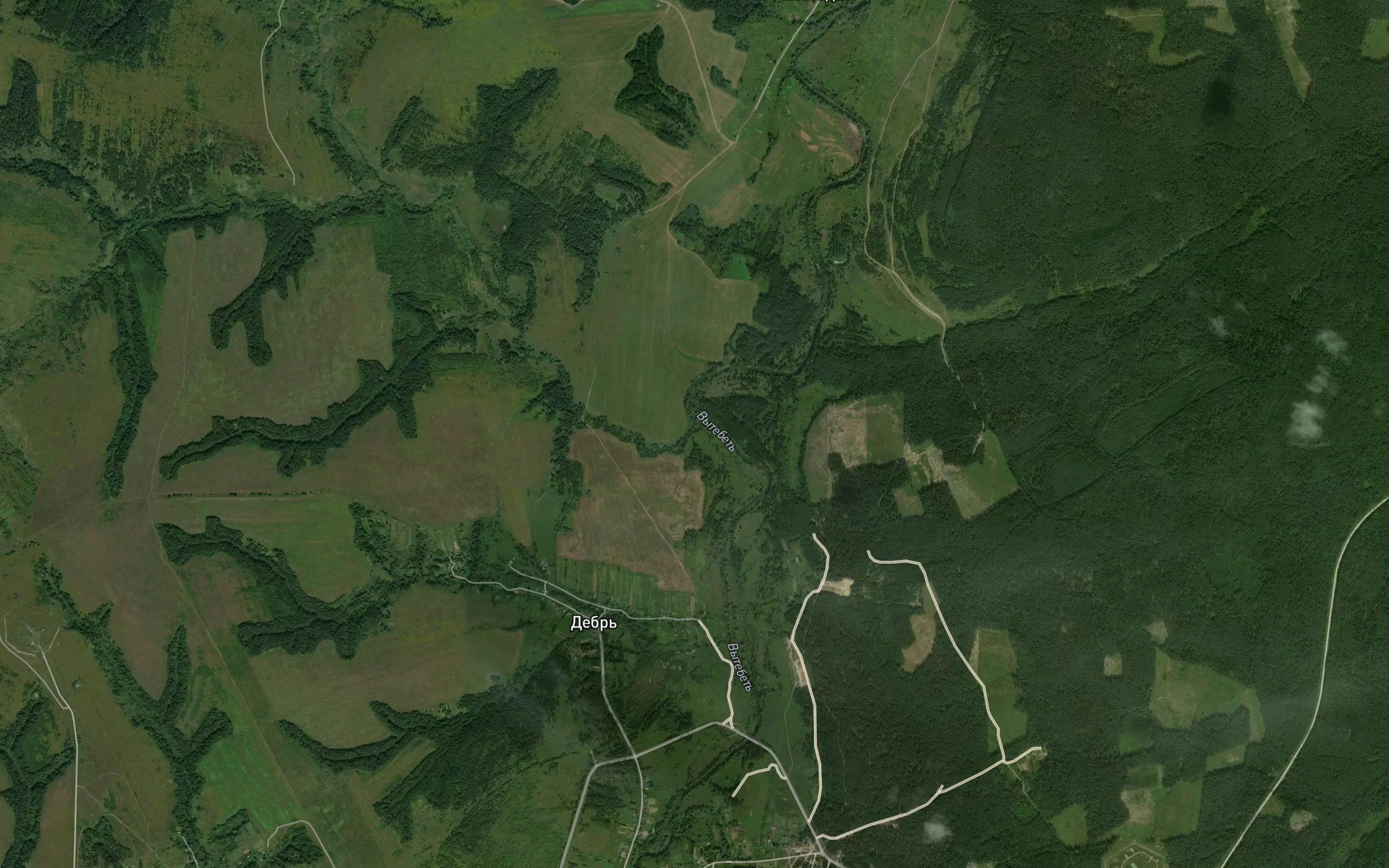 Polyanka