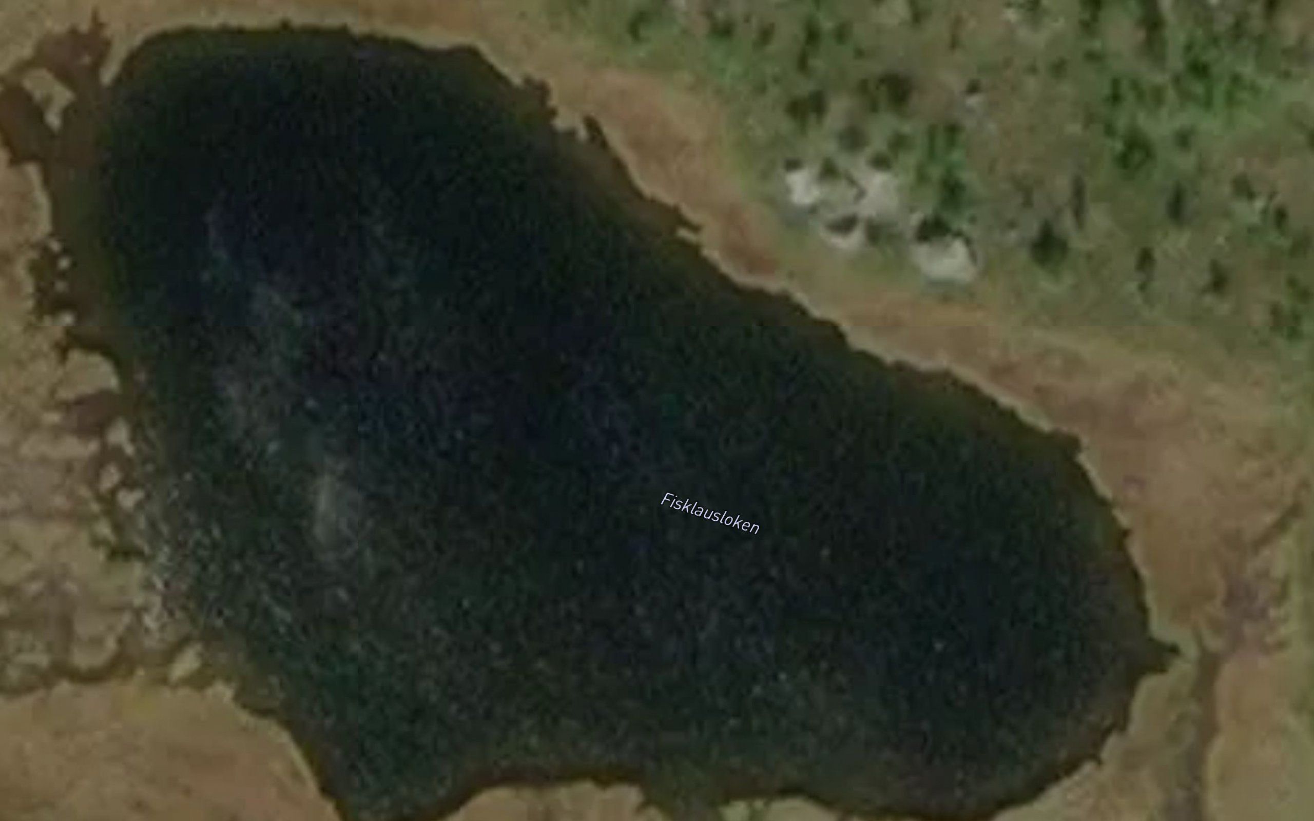 Fisklausloken