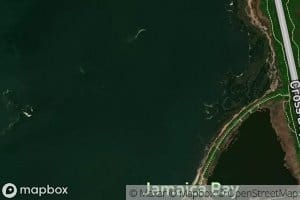 Pumpkin Patch Channel