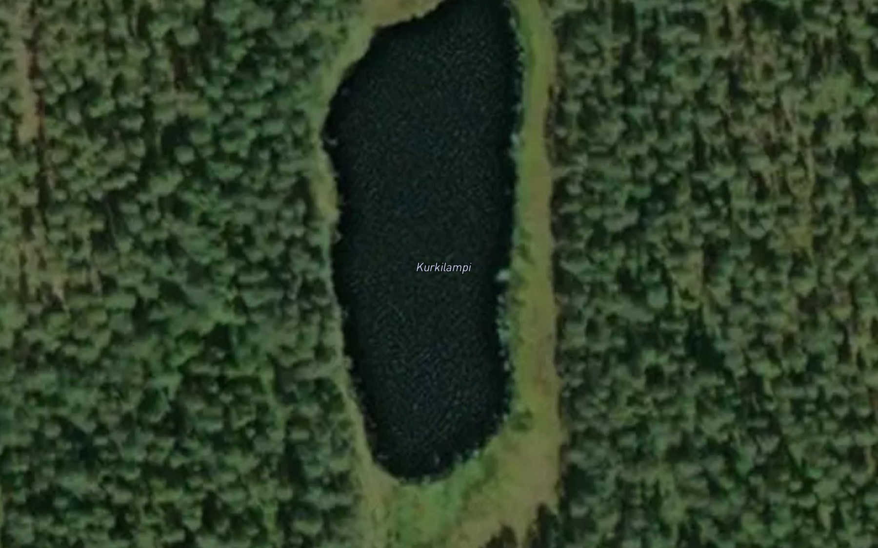 Satellite map of the Kurkilampi