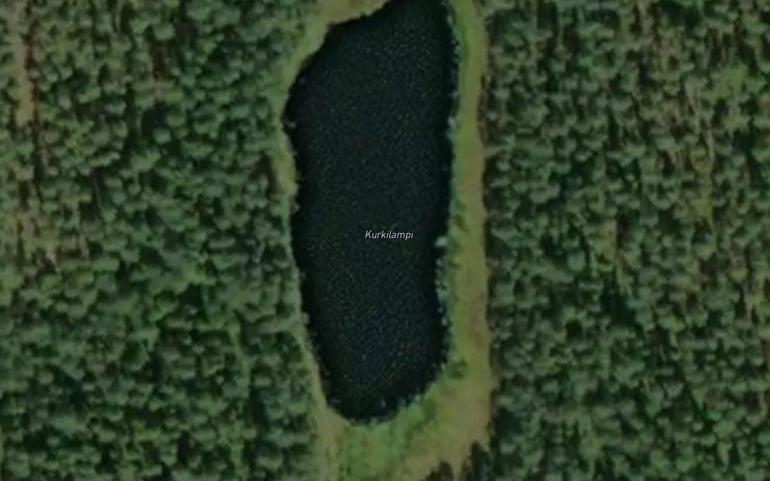 Kurkilampi
