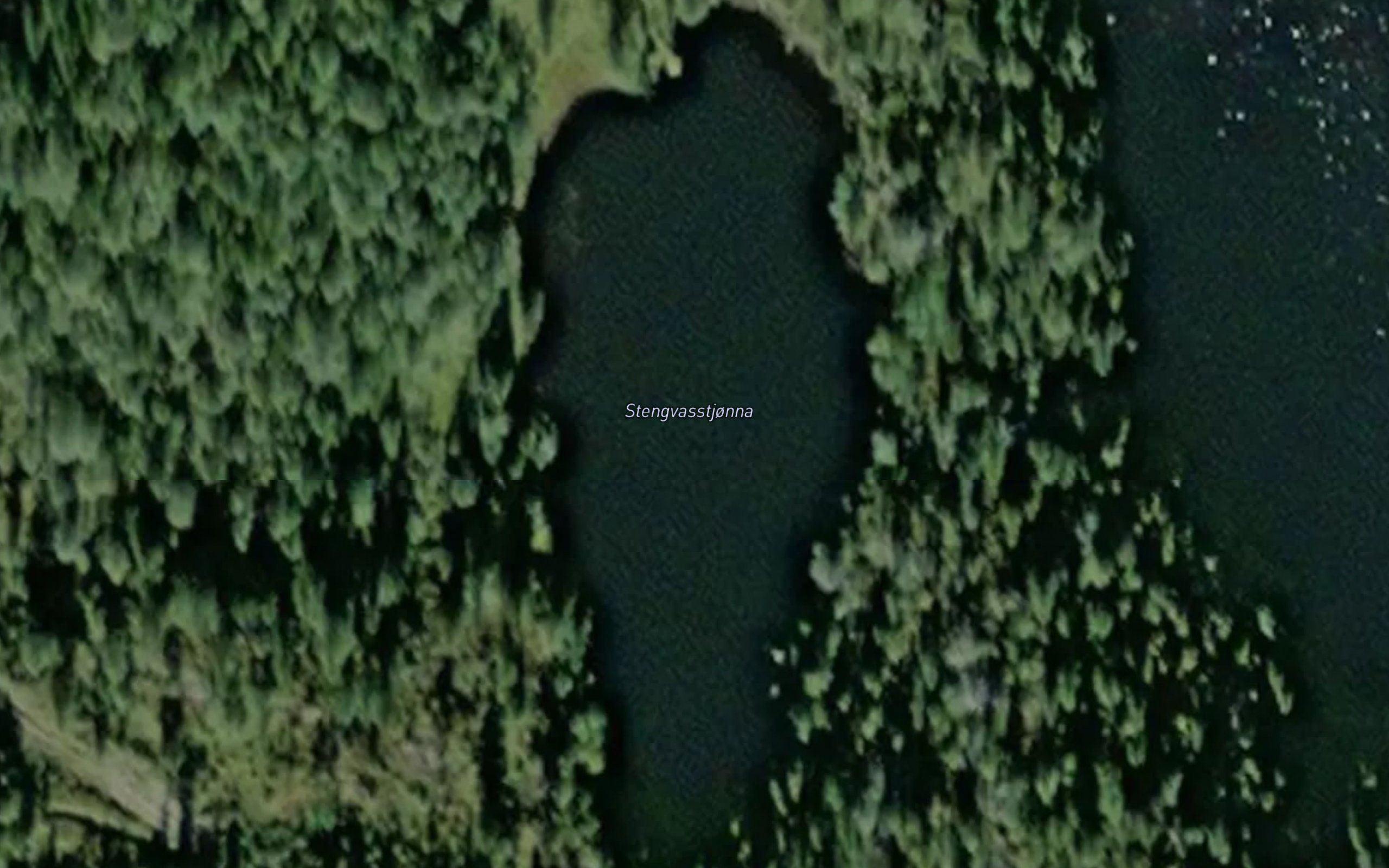 Stengvasstjorna
