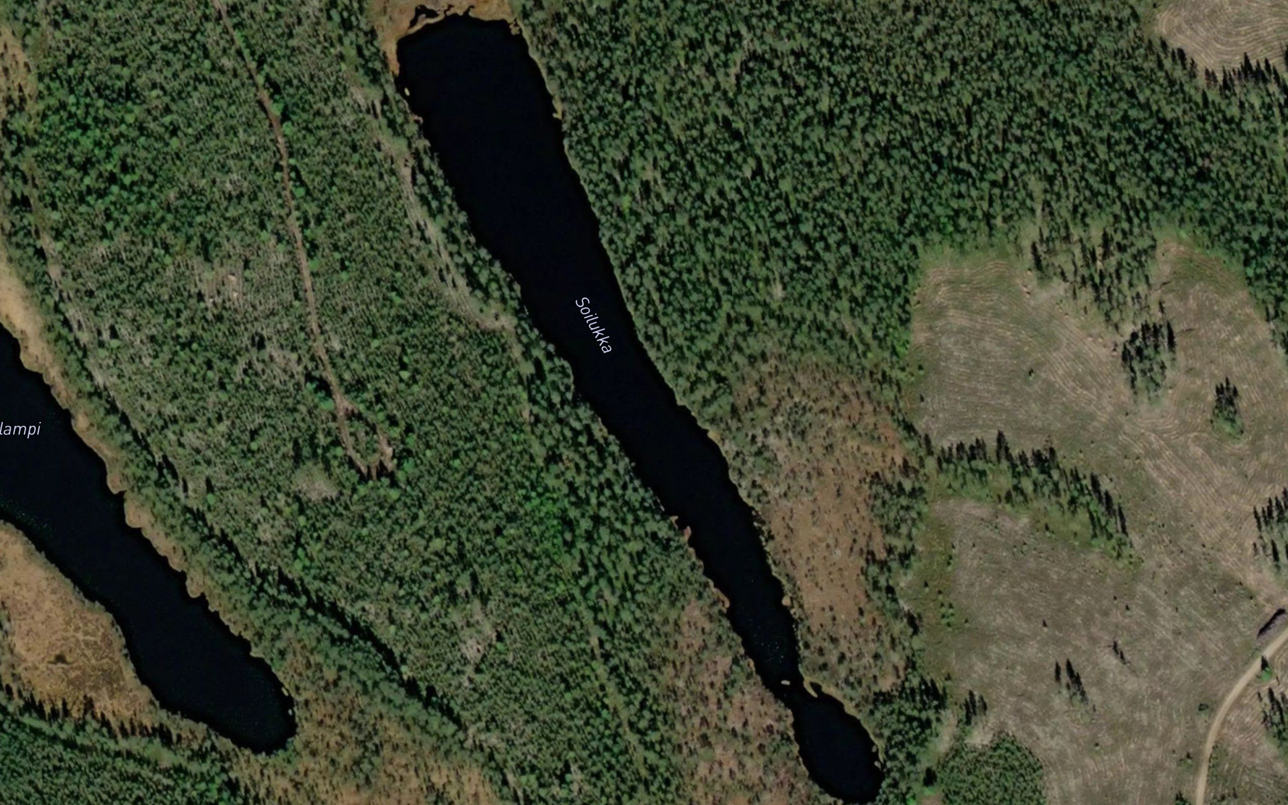 Soilukka