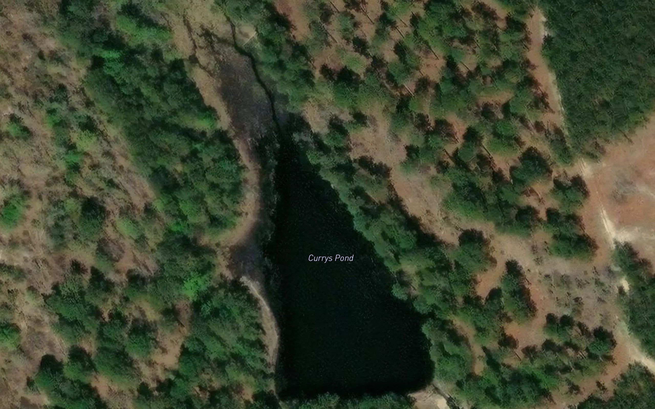 Currys Pond