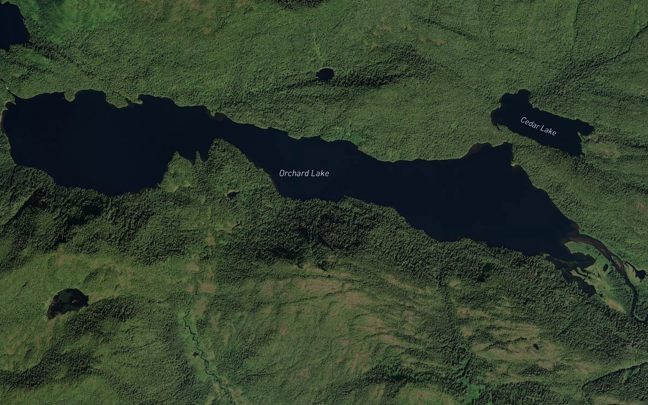 Orchard Lake