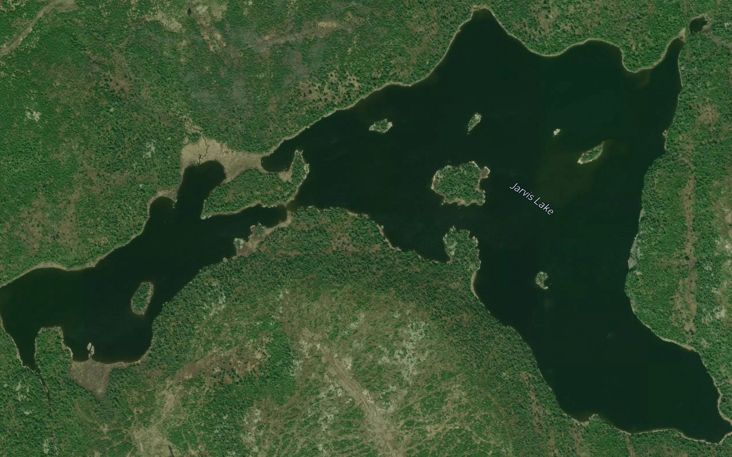 Jarvis Lake