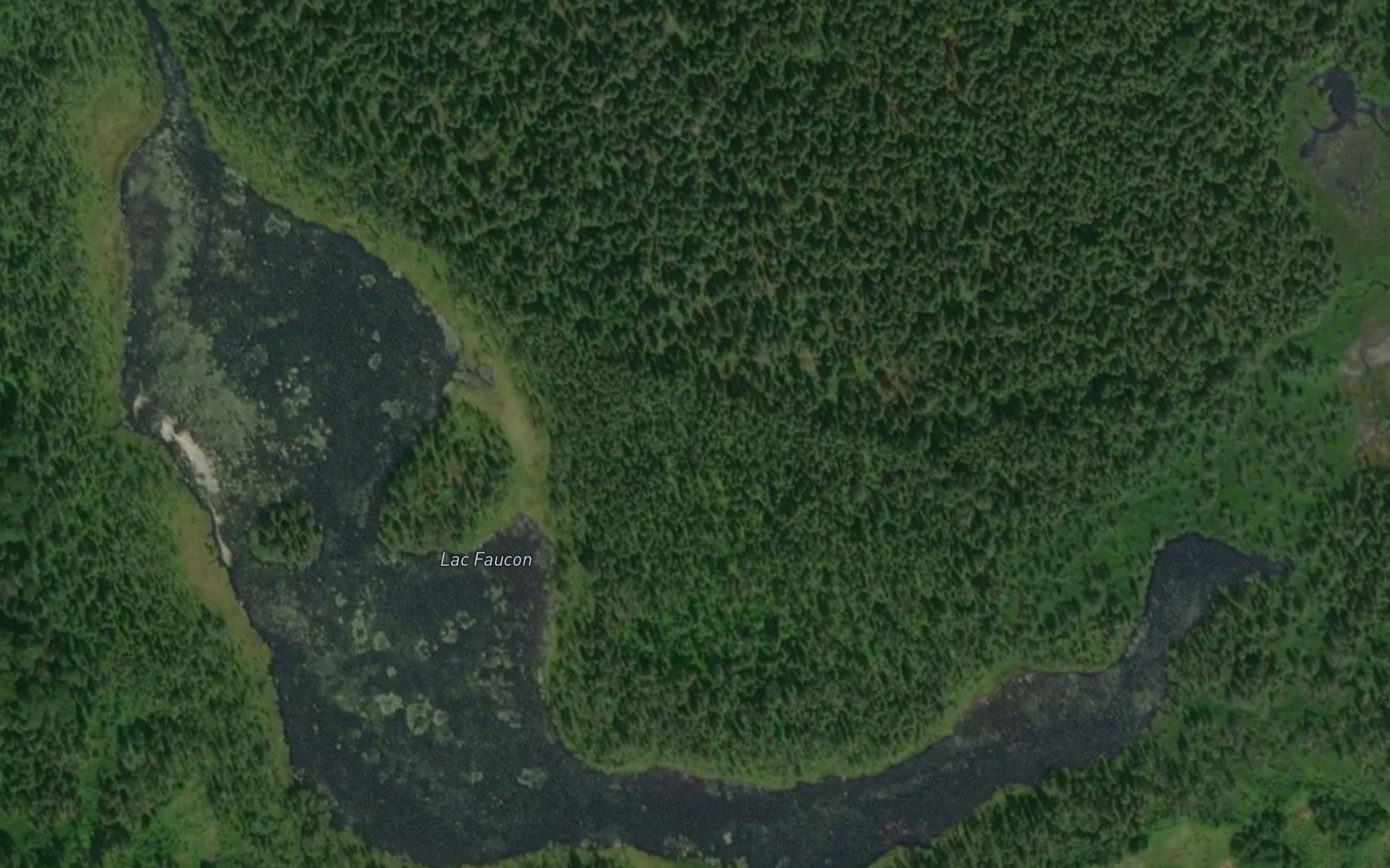 Satellite map of the Lac Faucon