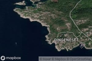 Rakvika