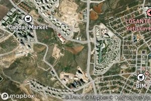 Kirkgozpinari Kaptaji