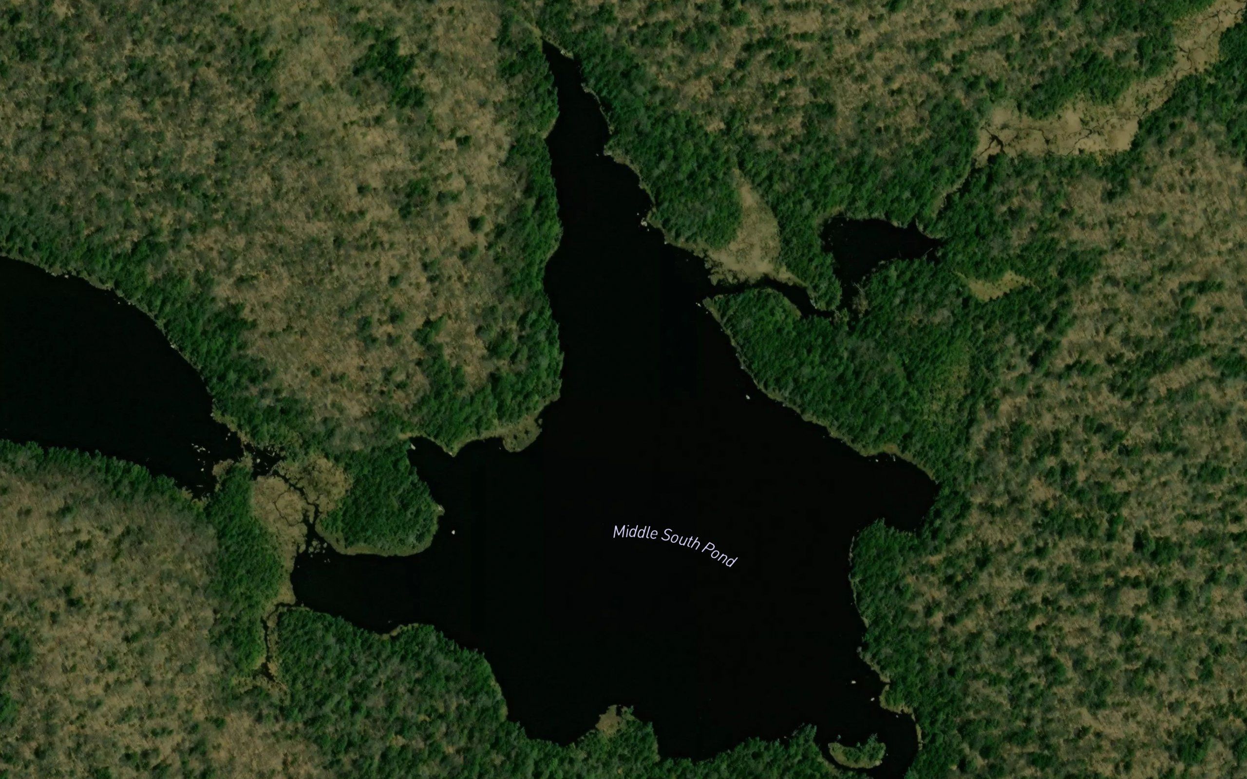 Middle South Pond