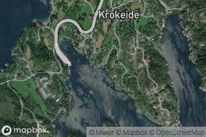Skipavika