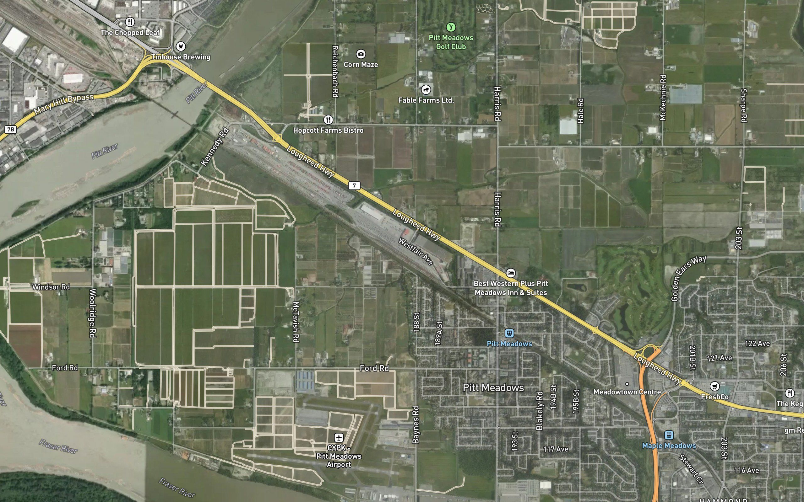 Cook Slough
