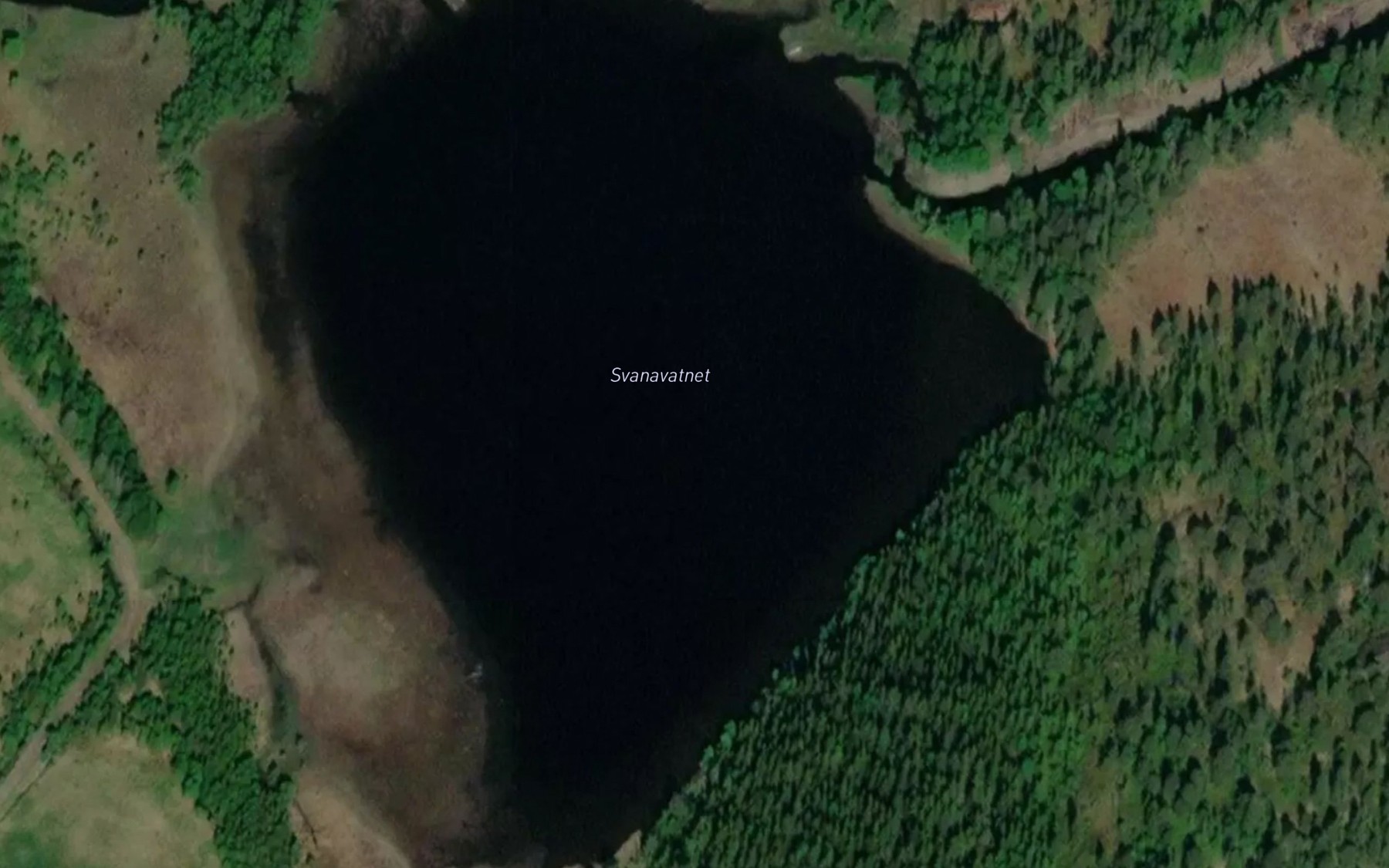 Satellite map of the Svanevatnet