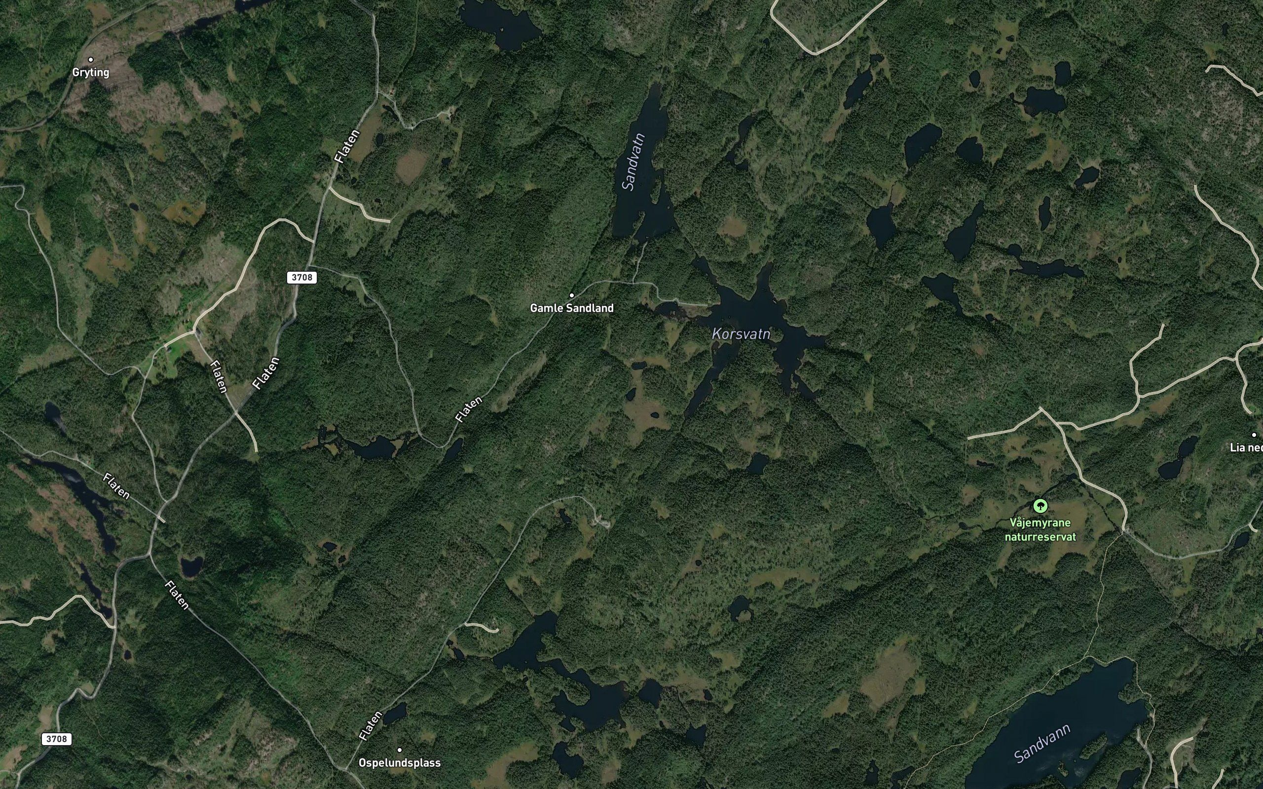 Bjelketjonn