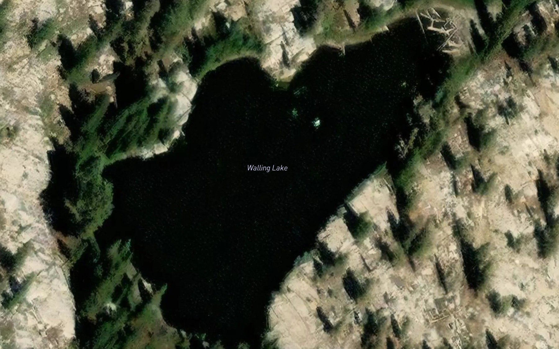 Satellite map of the Walling Lake