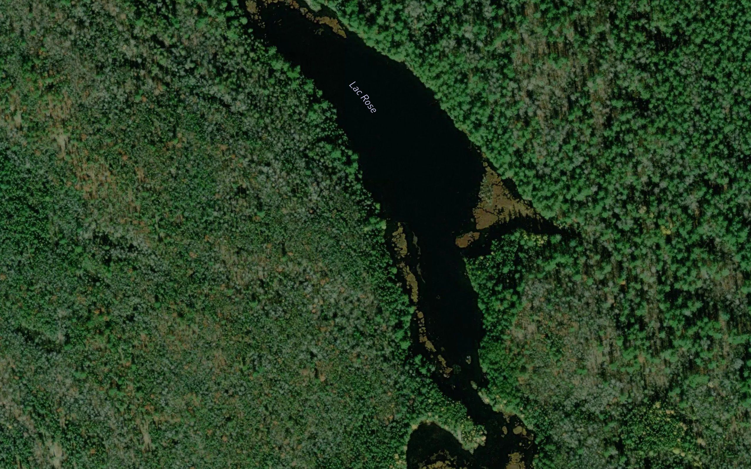 Lac Rose