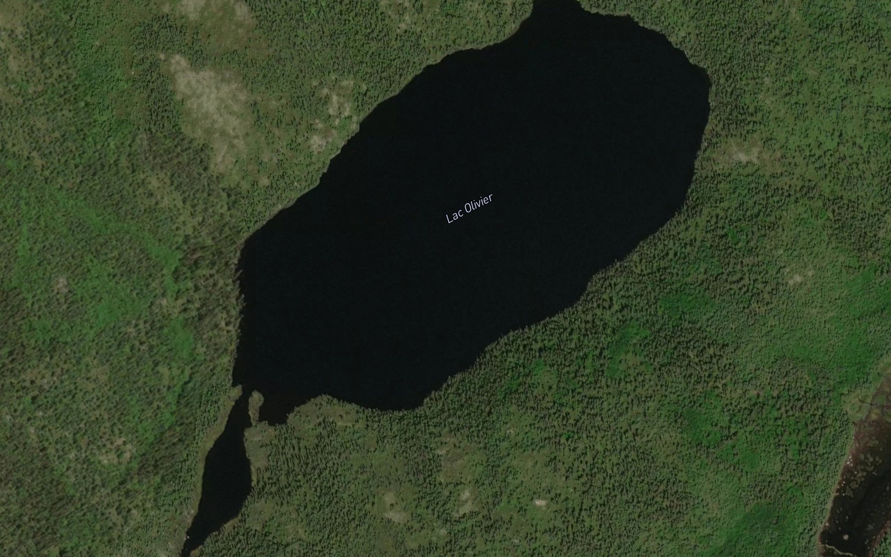 Satellite map of the Lac Olivier