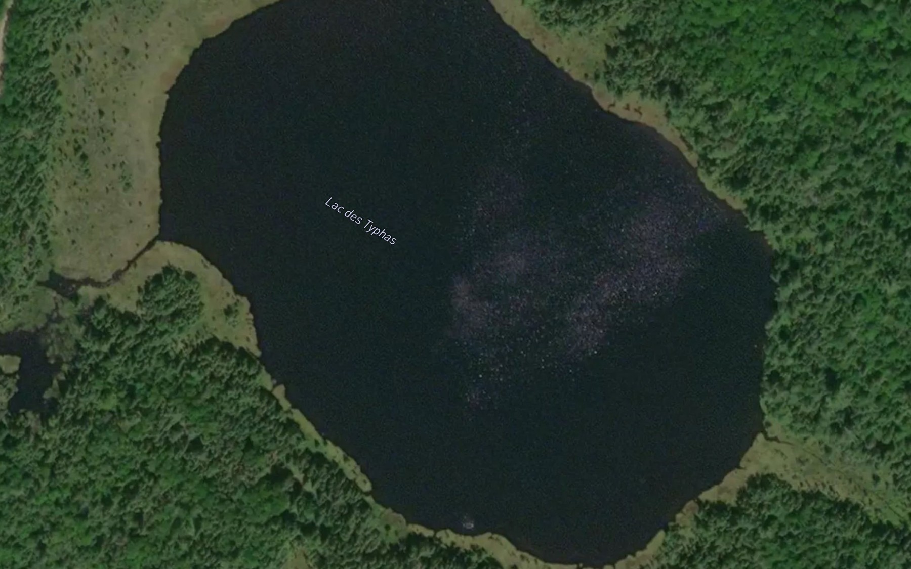 Satellite map of the Lac des Typhas