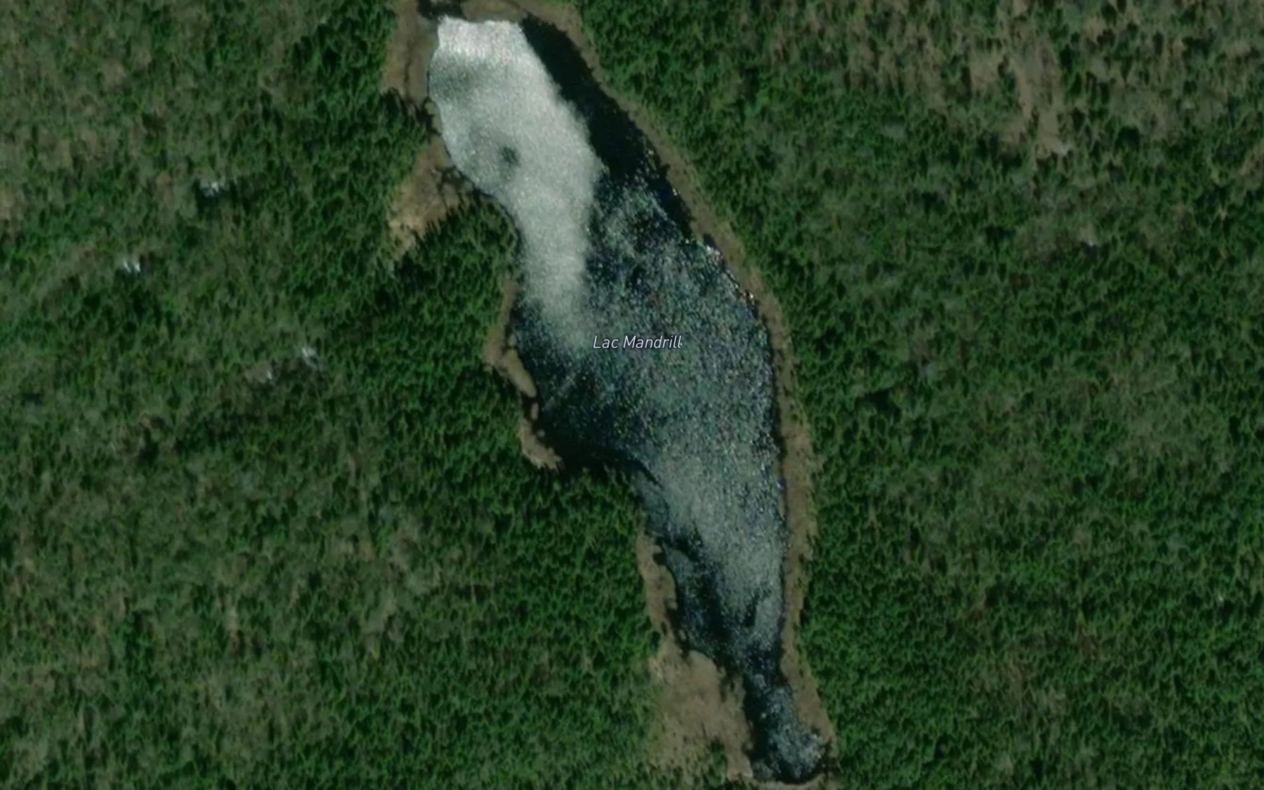 Satellite map of the Lac Mandrill