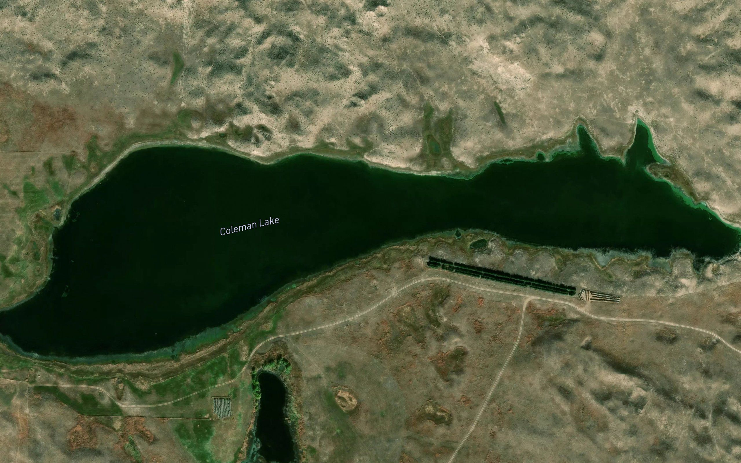 Coleman Lake
