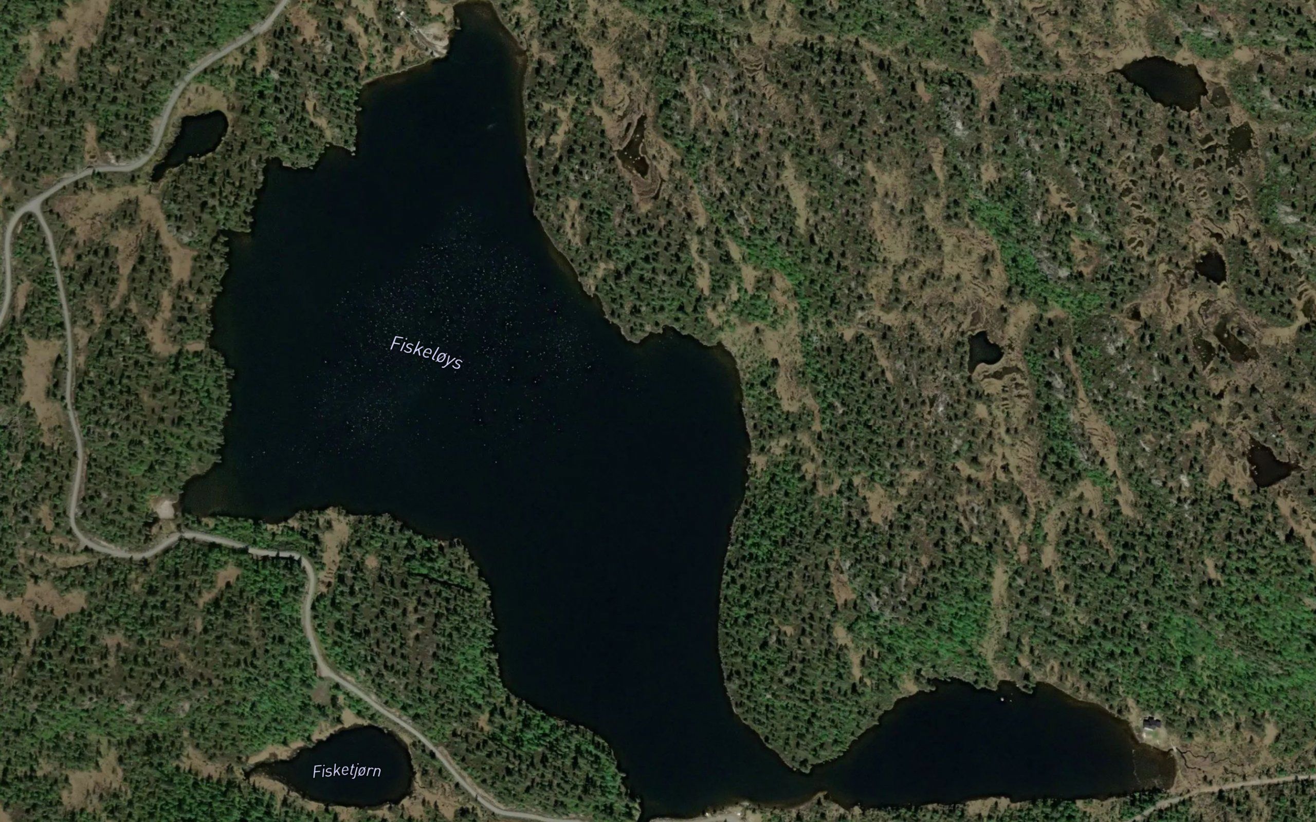Fiskeloys