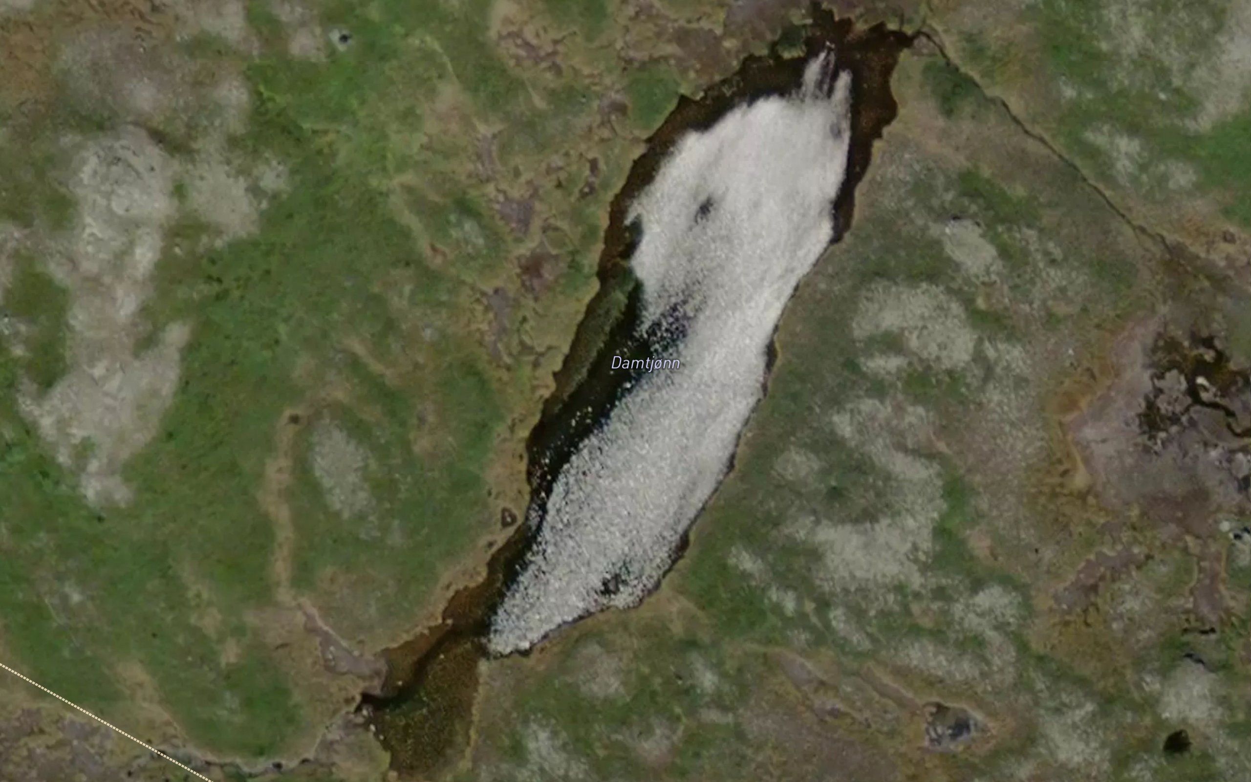 Damtjorn
