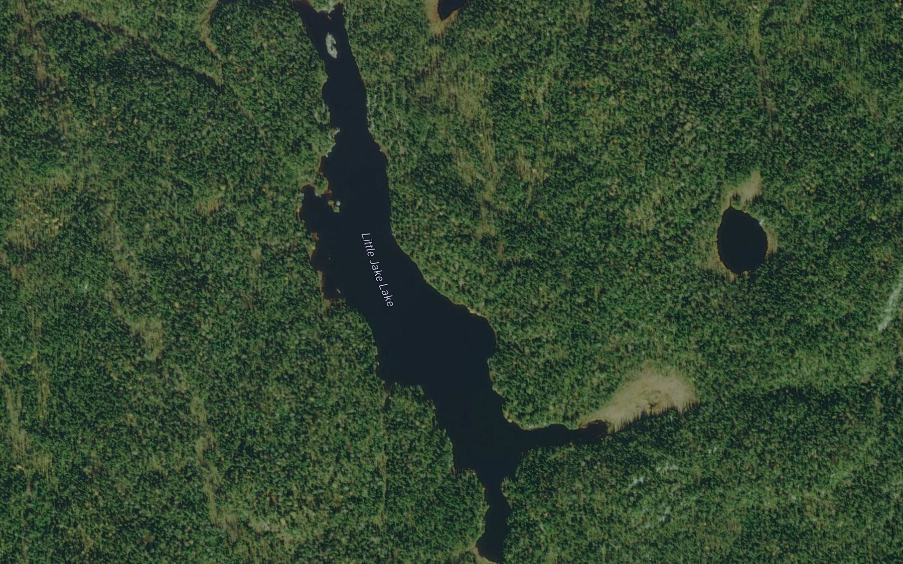 Satellite map of the Little Jake Lake