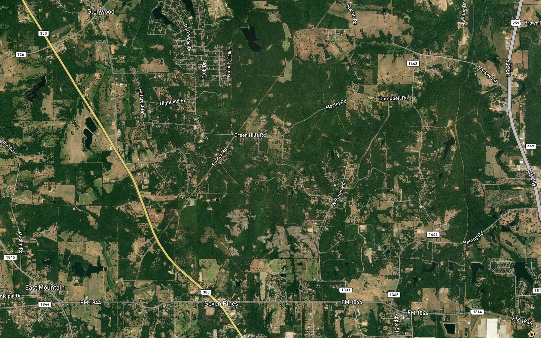 Satellite map of the Wells Branch