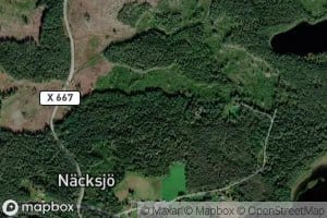 Nianforsan