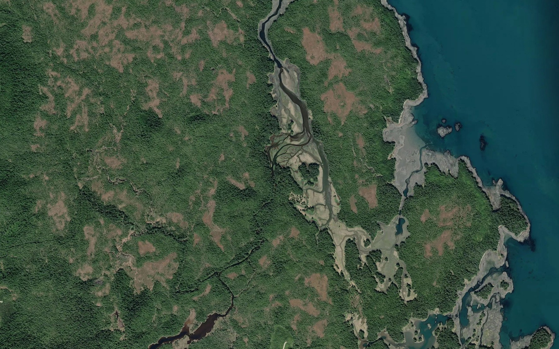 Satellite map of the Salmon Creek