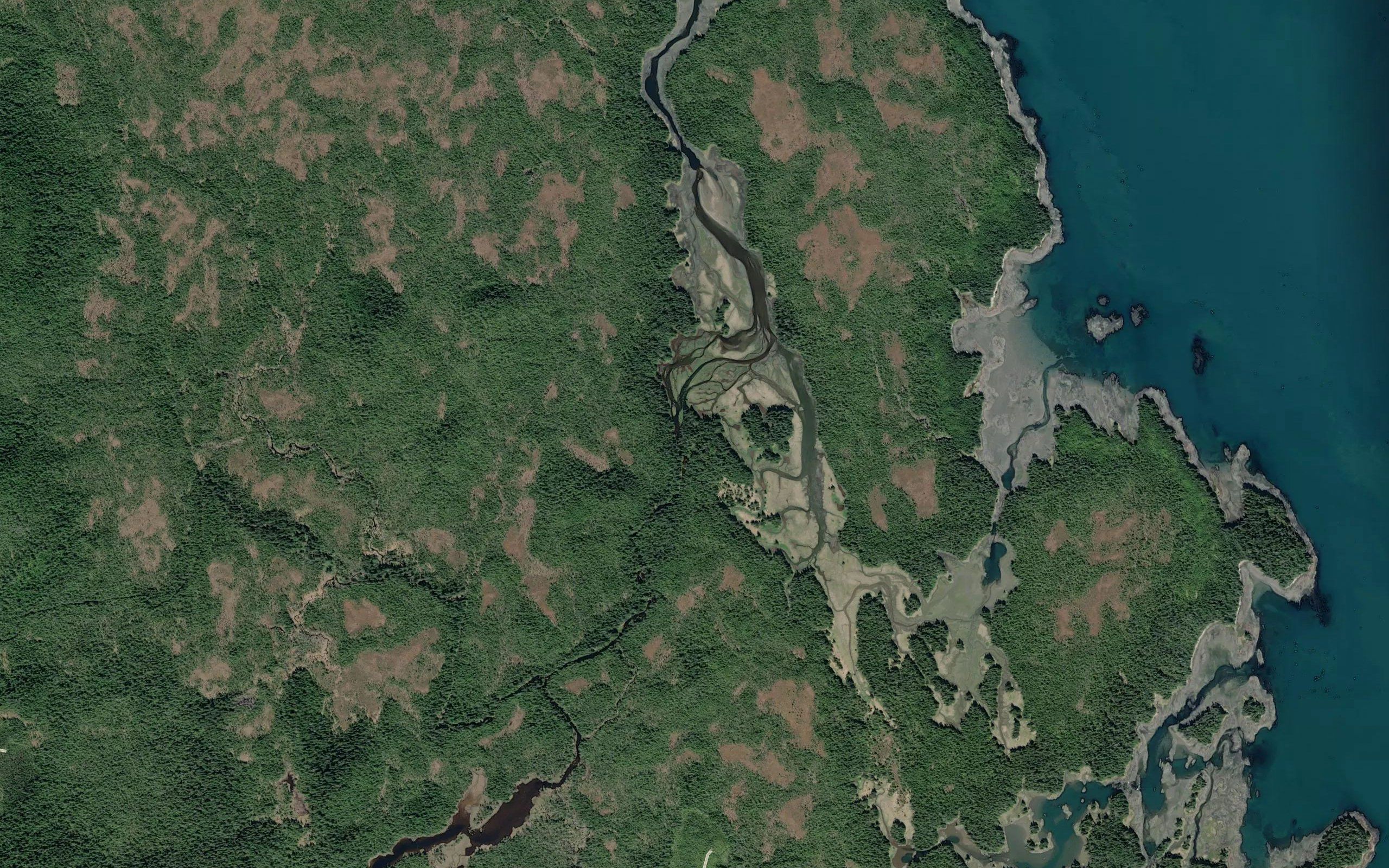Salmon Creek