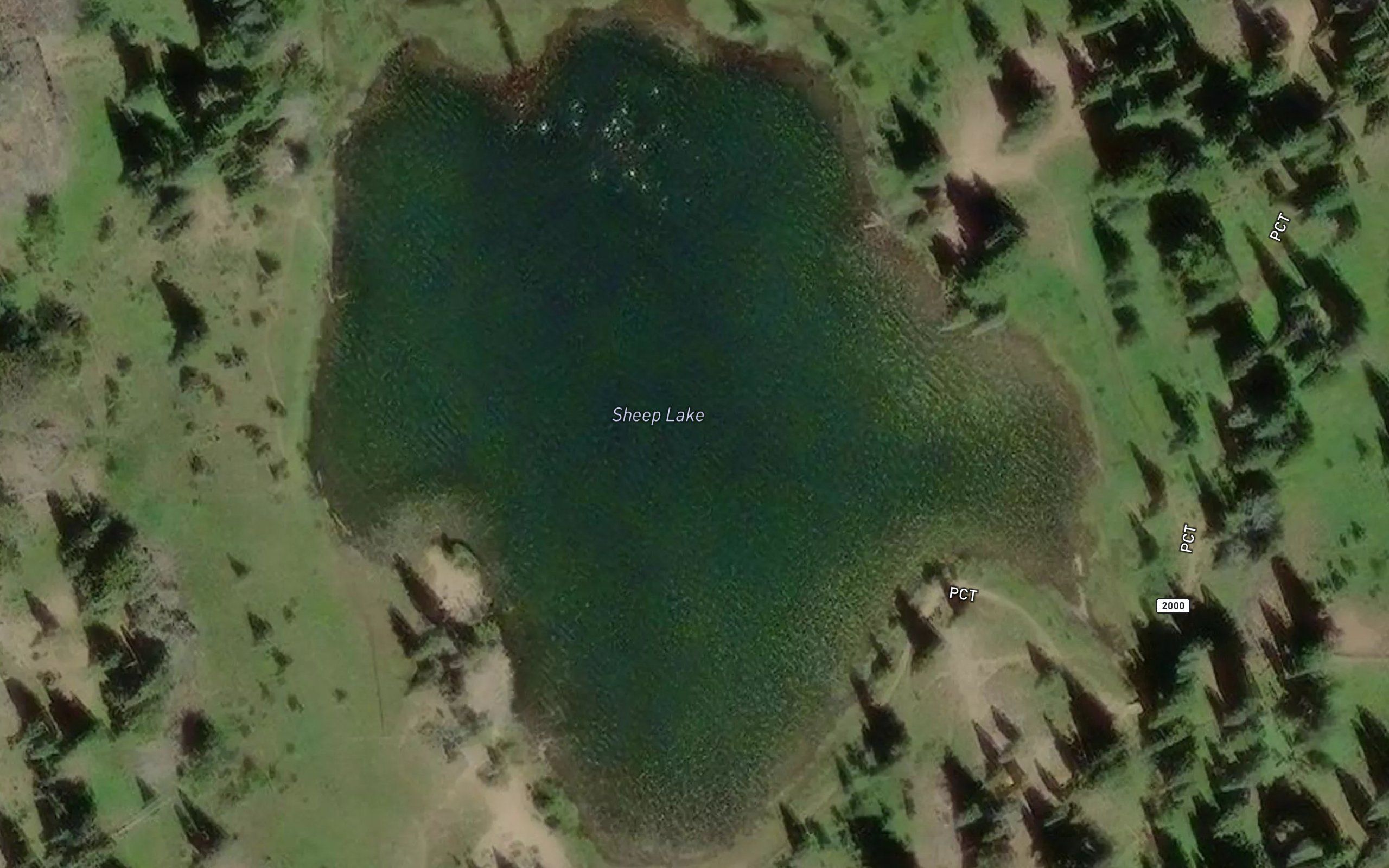 Sheep Lake