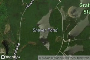 Shaver Pond