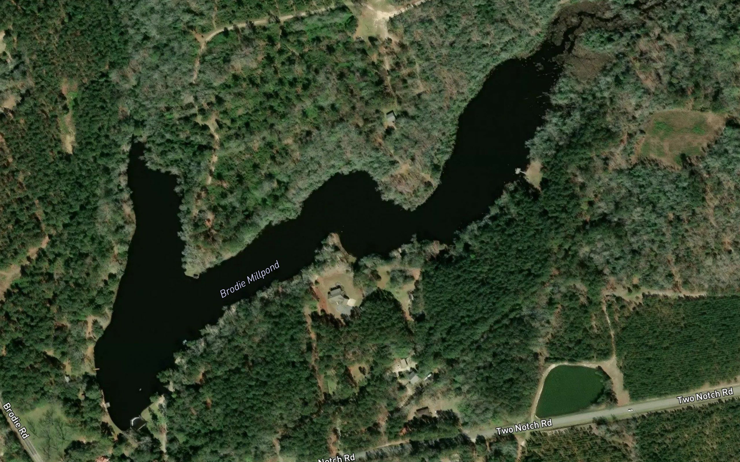 Brodie Millpond