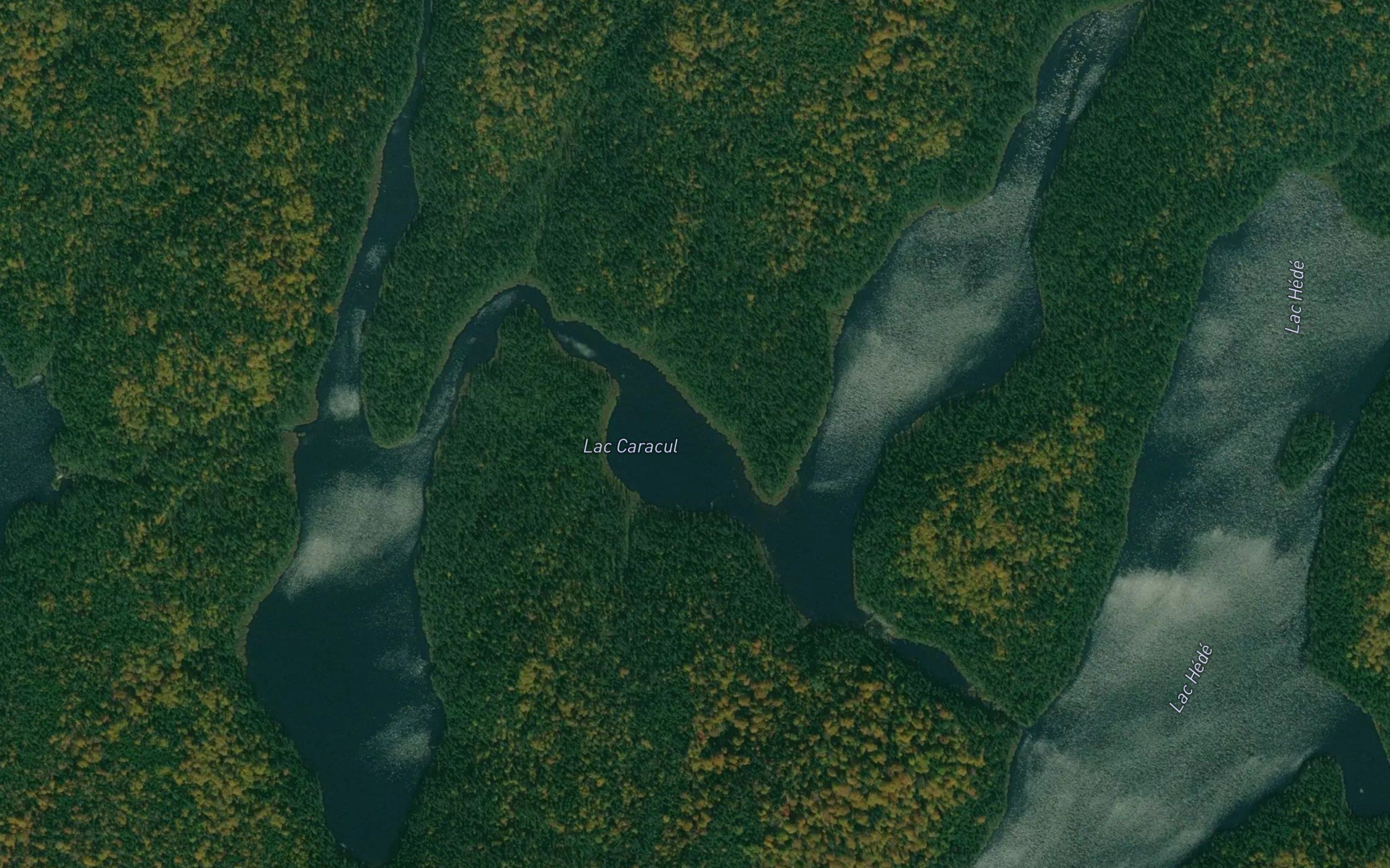 Lac Caracul