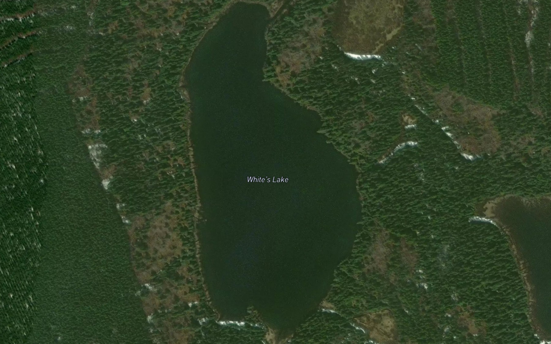 Satellite map of the White's Lake