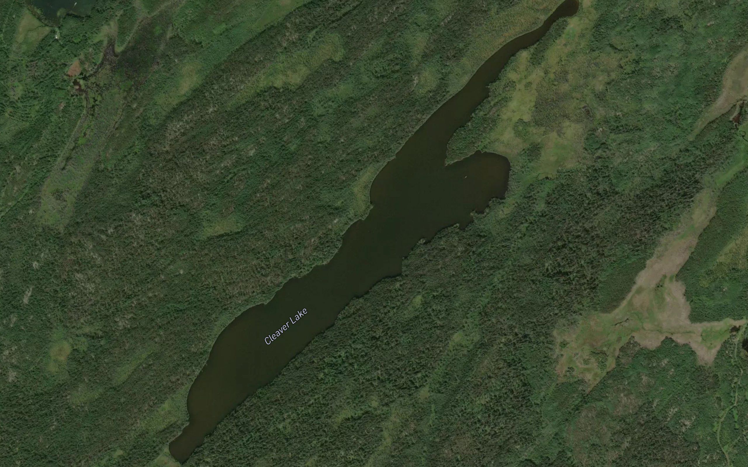 Cleaver Lake