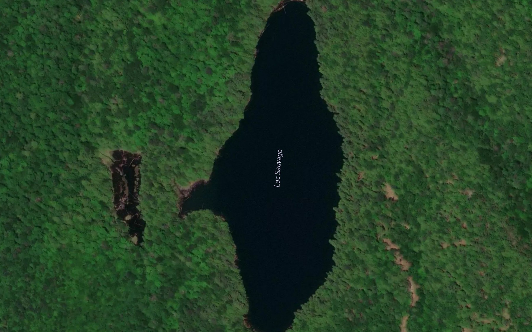 Satellite map of the Lac Sauvage