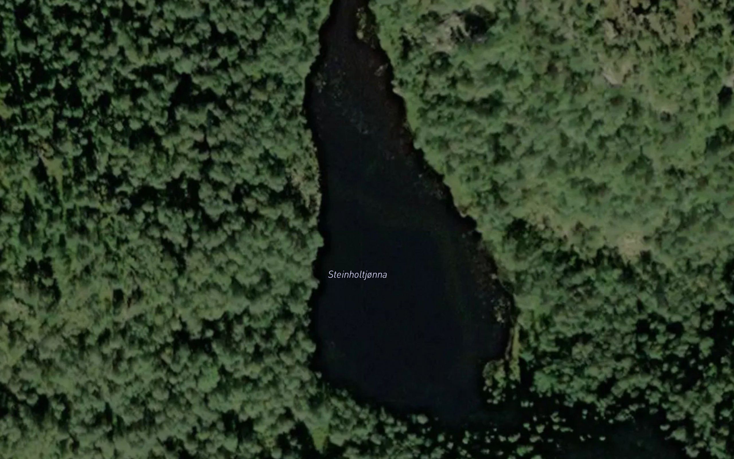 Steinholtjorna