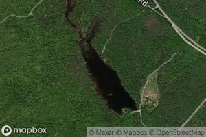 Newberry Pond