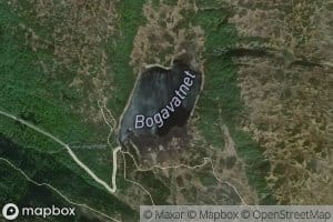 Bogavatnet