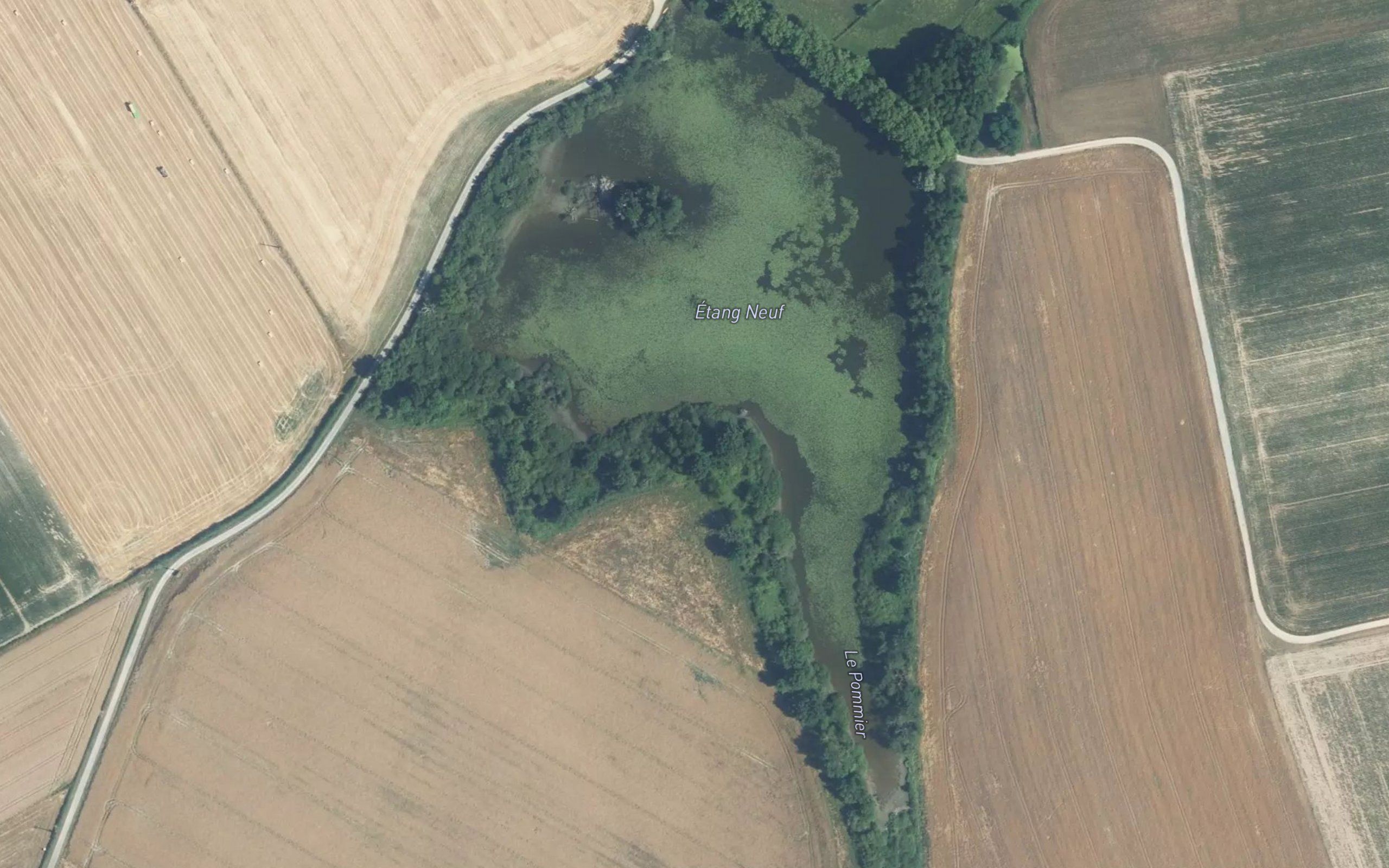 Etang Neuf