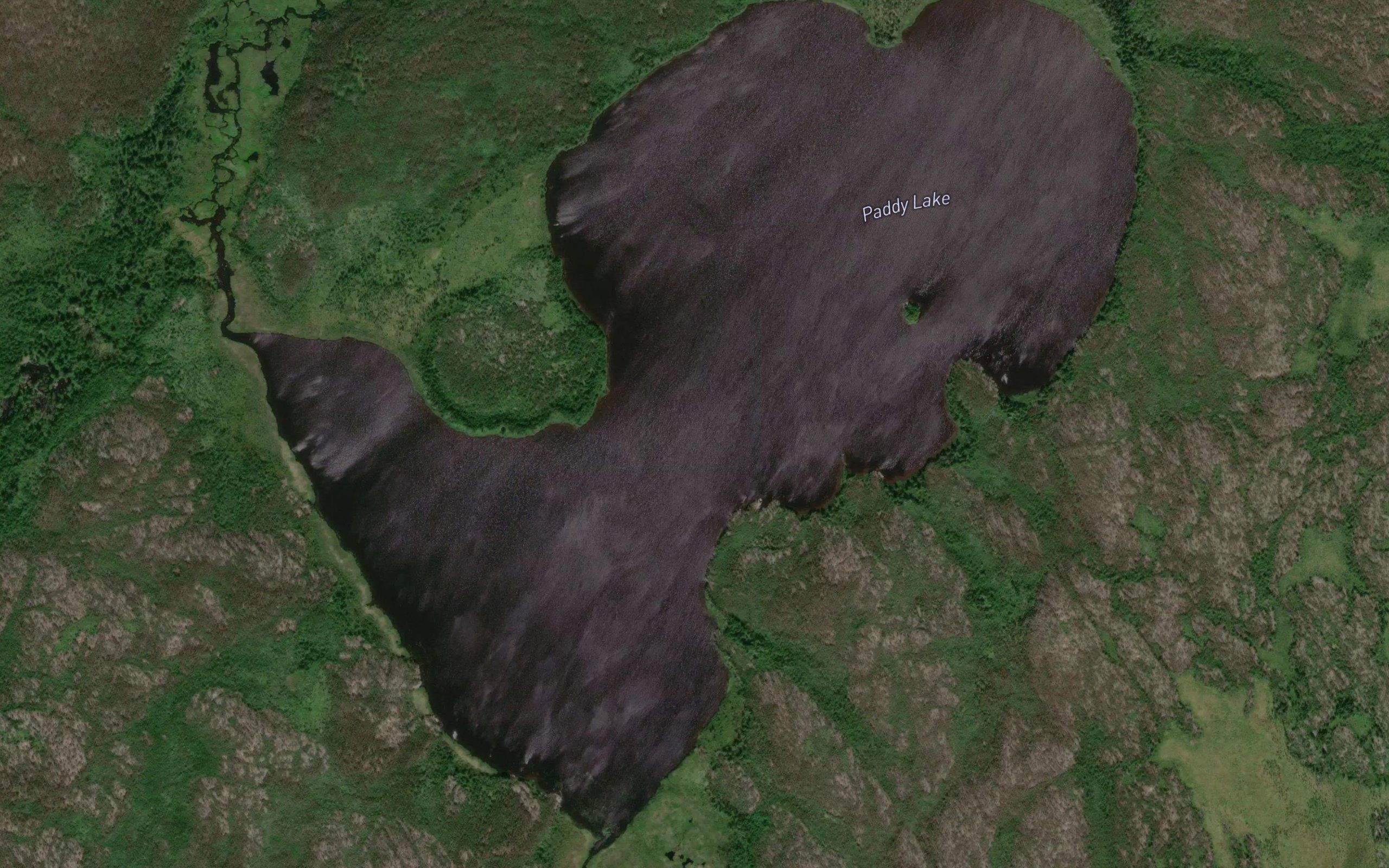 Paddy Lake