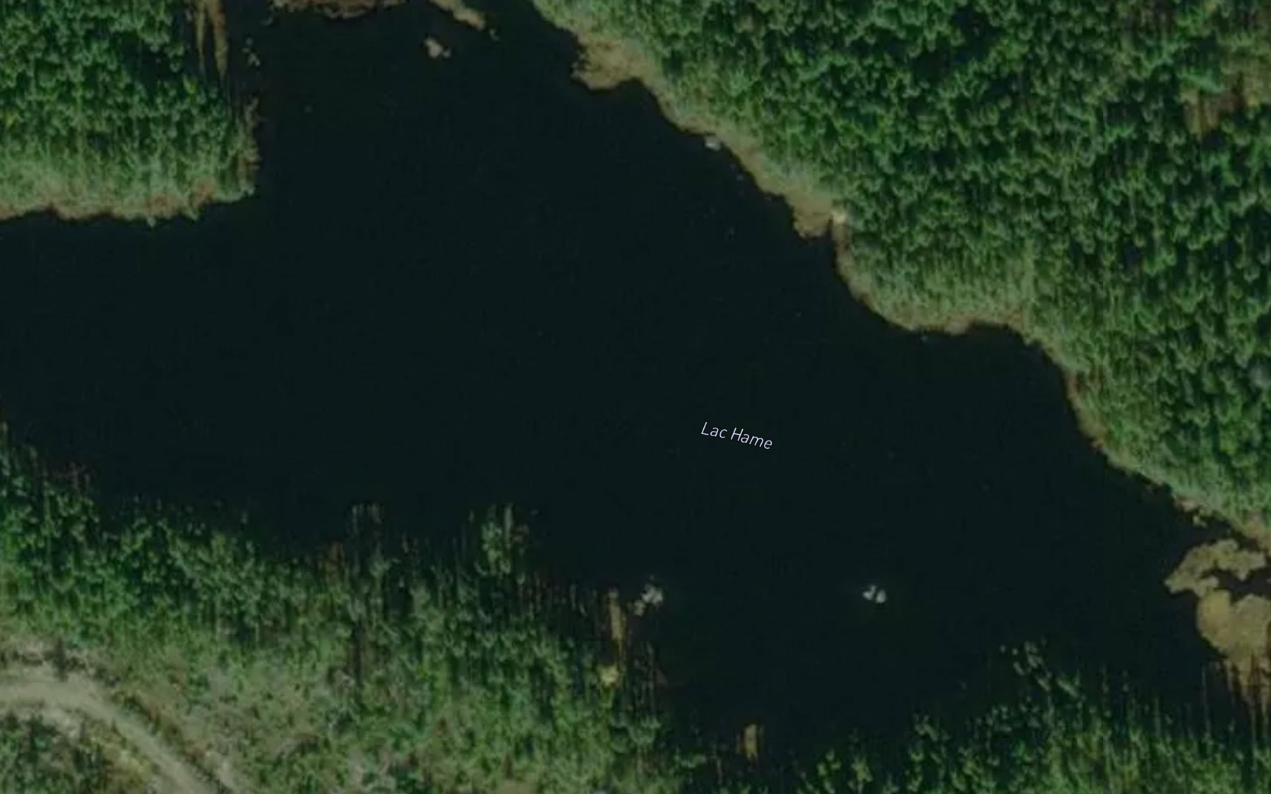 Satellite map of the Lac Hame