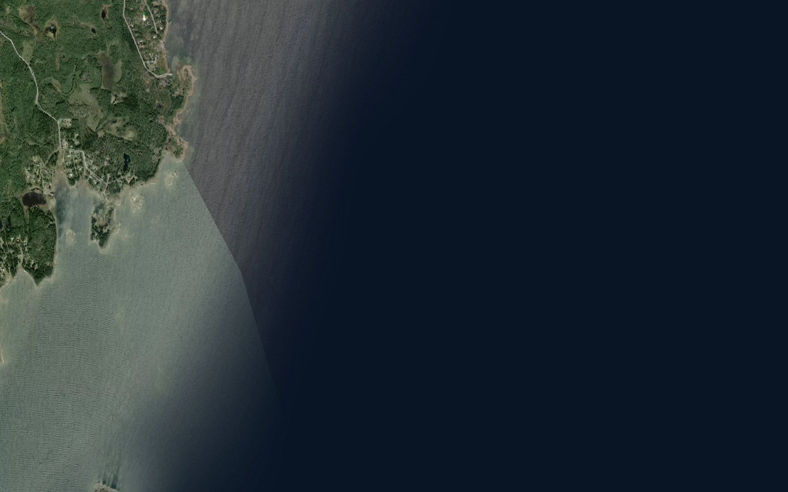 Sjohasten