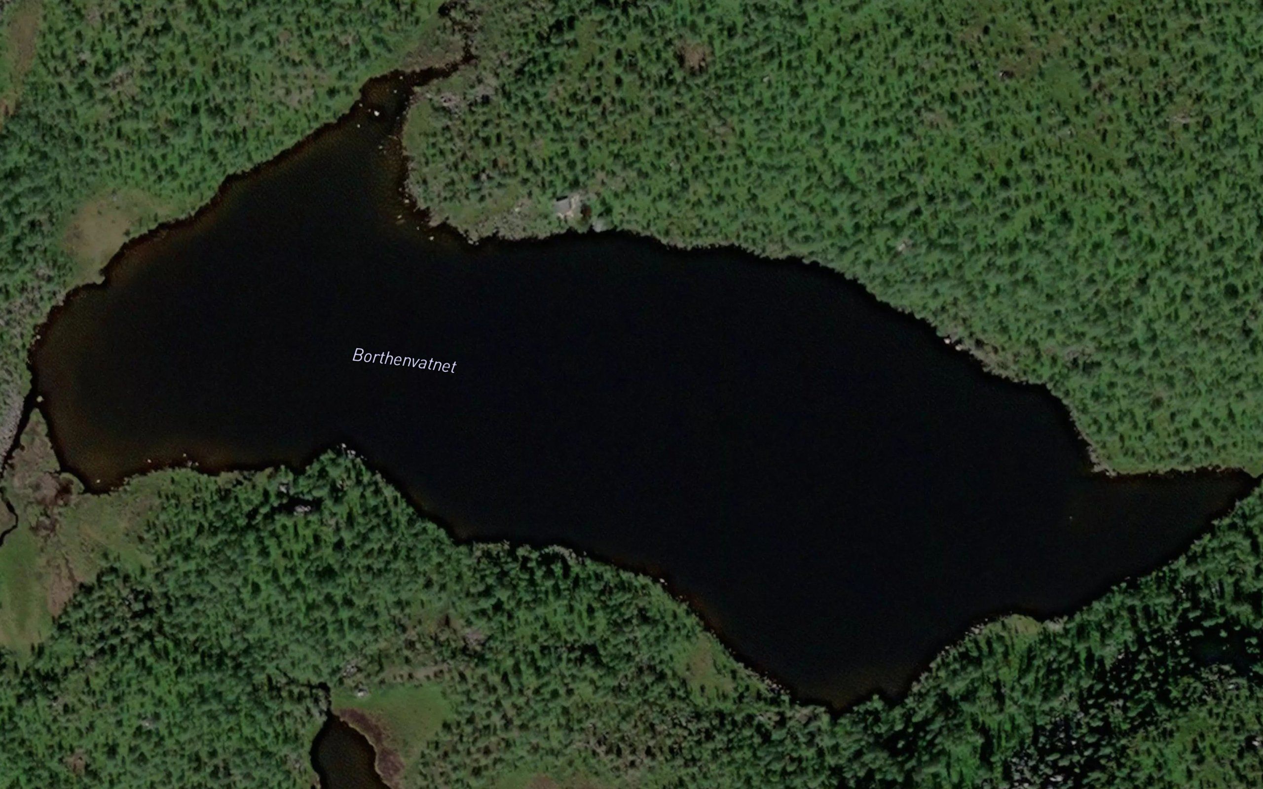 Borthenvatnet