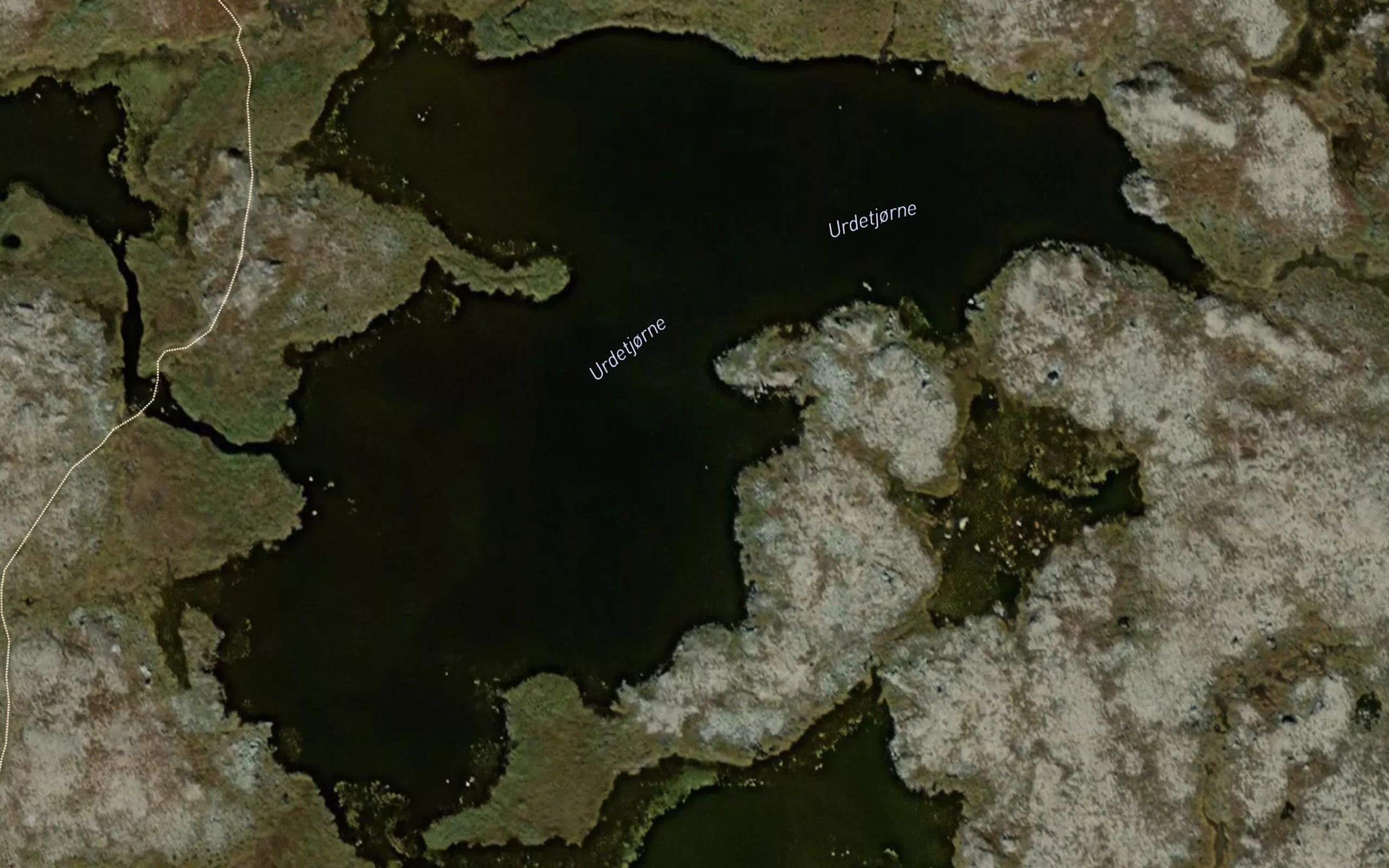 Urdetjorne